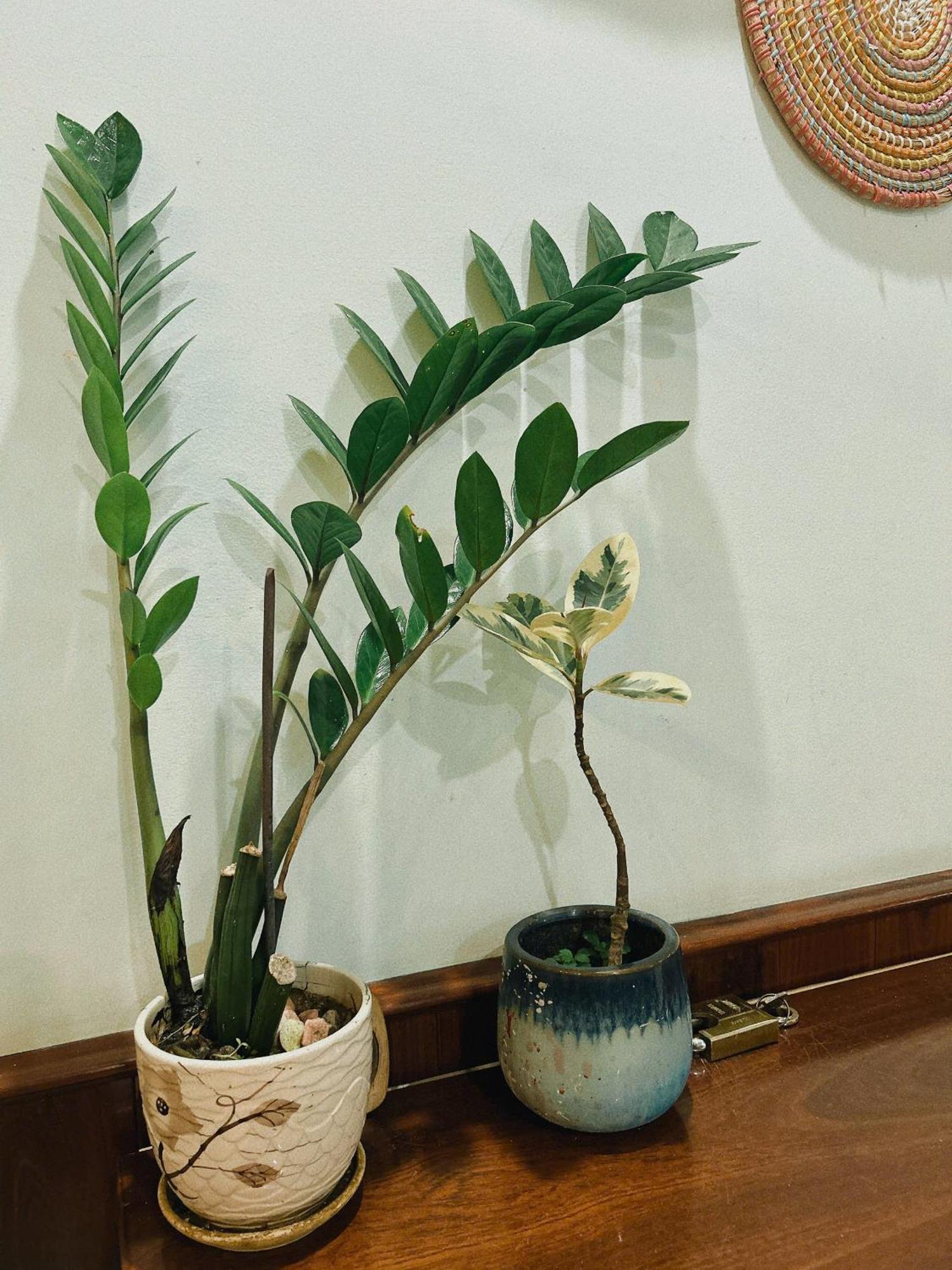 Nang Homestay Tuy Hoa Extérieur photo